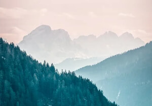 怎么查一个人的开的房记录 怎么查一个人的开的房记录查询旅游官网